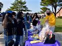 DSC_0015(24)-9