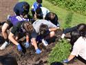 DSC_0053(19)-50