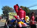 IMG_1284-29
