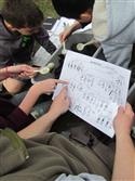IMG_2601-12