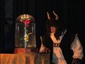 IMG_4338-19