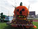 IMG_8139-45
