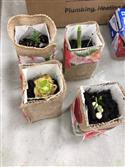 IMG_9805(2)-6