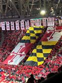 UMD3-12